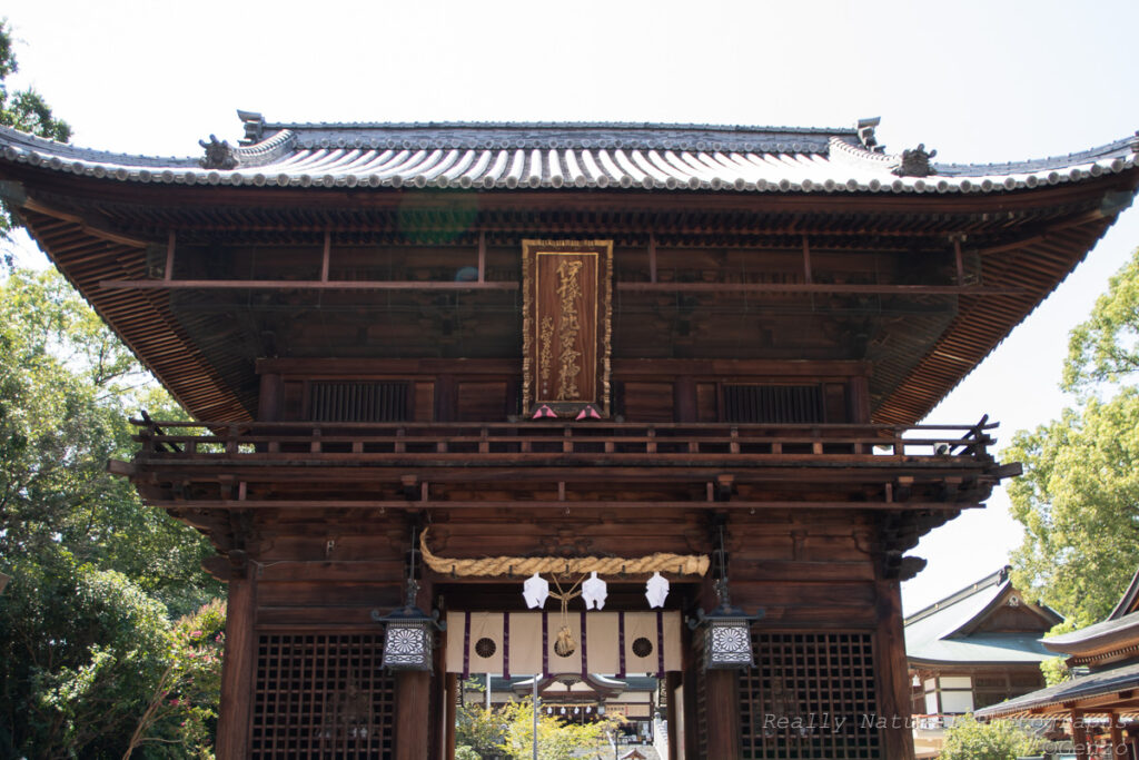 伊豫豆比古命神社 (椿神社)の山門