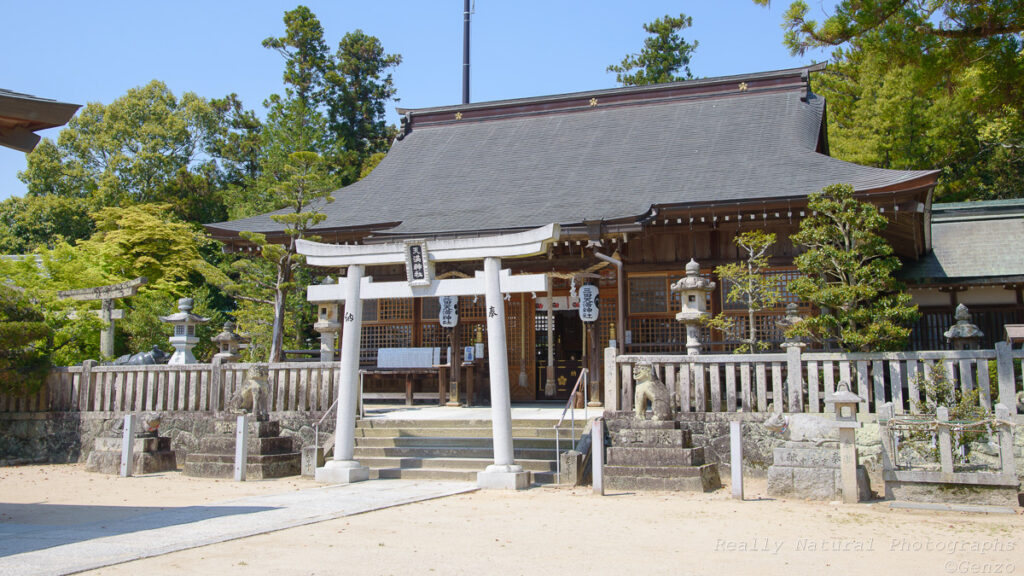 三田天満神社さんの拝殿