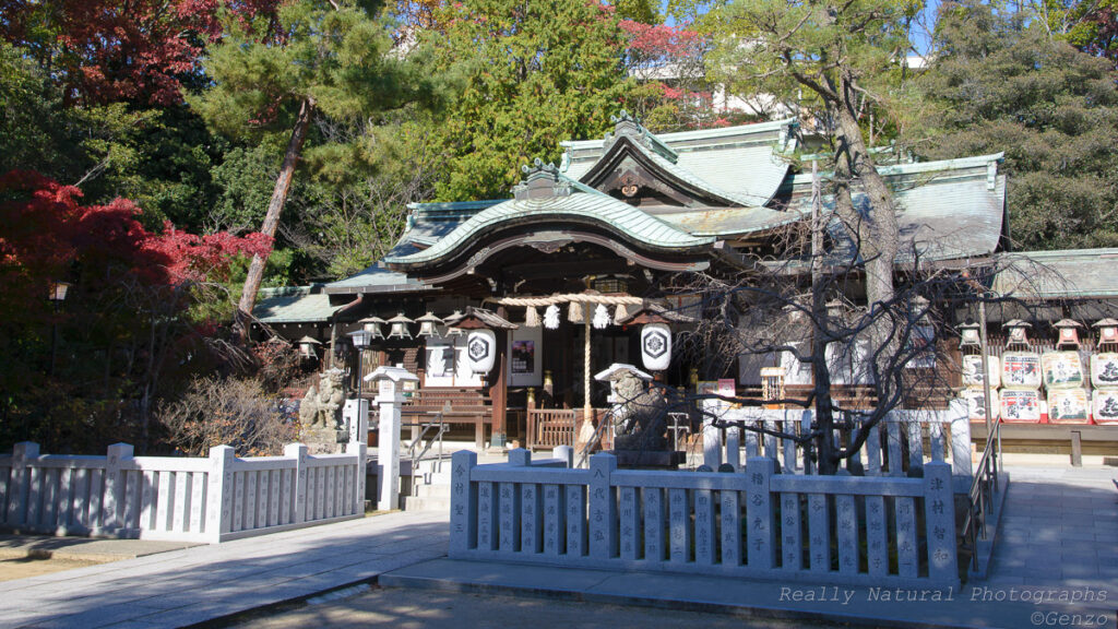 兵庫県芦屋市の芦屋神社の拝殿