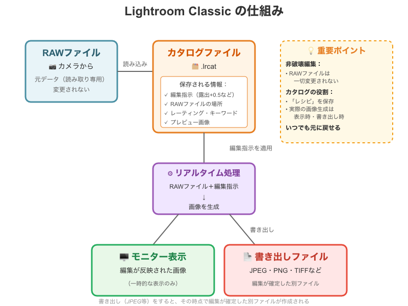 lightroom classicのRAWファイル、カタログの関係