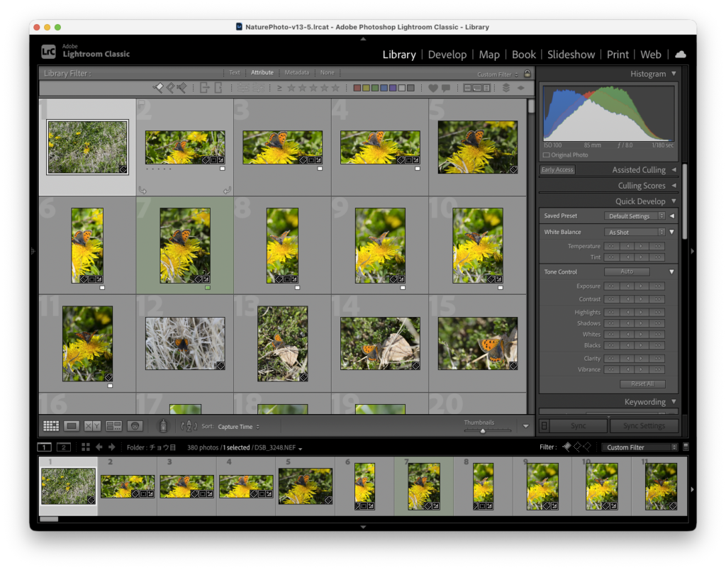 lightroom classicでのRAW現像の手順説明2